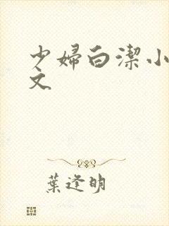 少妇白洁小说全文
