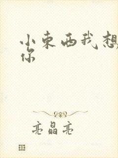 小东西我想弄坏你封面