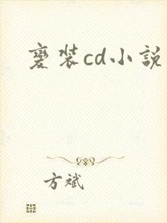 变装cd小说封面