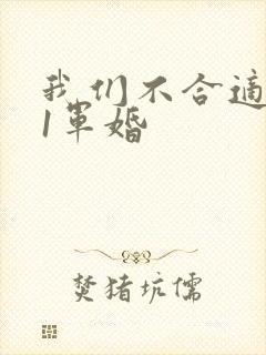 我们不合适1v1军婚封面