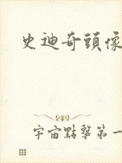 史迪奇头像封面