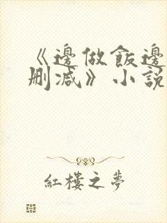 《边做饭边躁无删减》小说