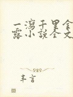 一泻千里金银花露小说全文免费阅读封面