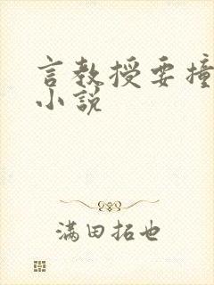 言教授要撞坏了小说