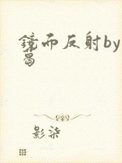 镜面反射by九葛