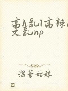 高h乱l高辣h文乱np