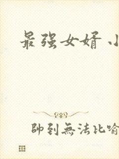 最强女婿 小说