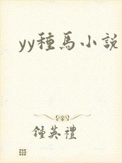 yy种马小说封面
