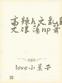 高辣h文乱乳h文浪荡np萧太后