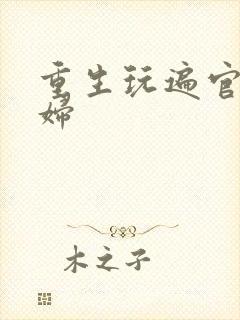 重生玩遍官场贵妇