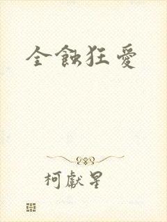 全蚀狂爱封面