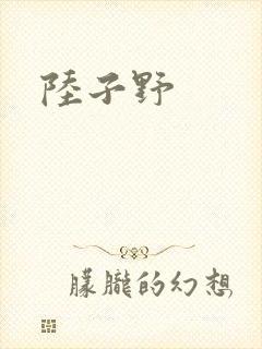 陆子野封面