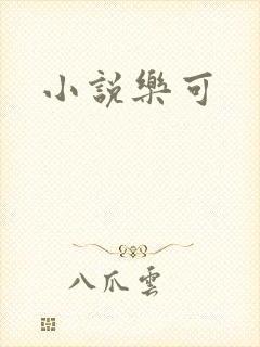 小说乐可封面