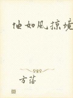 他如风掠境