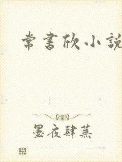 常书欣小说封面
