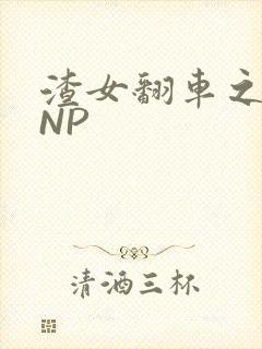 渣女翻车之后 NP封面