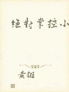 绝对掌控小说