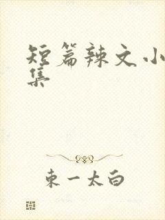 短篇辣文小说合集封面