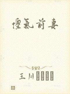 傻气前妻封面