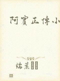 阿宾正传小说封面