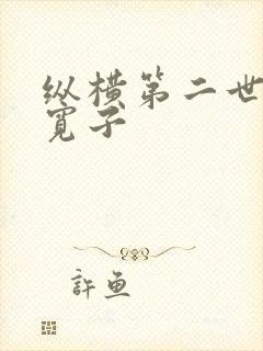纵横第二世界 宽子封面