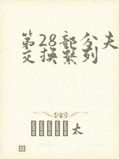 第28部分夫妇交换系列封面