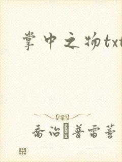 掌中之物txt封面