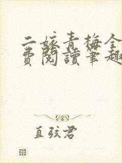 二嫁青梅全文免费阅读笔趣阁封面
