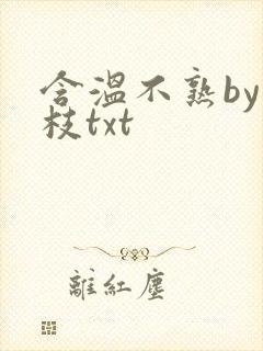 含温不熟by词枝txt