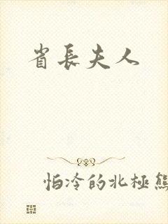 省长夫人