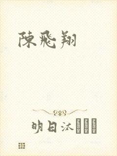 陈飞翔