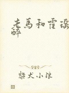 老马和霍瑶瑶喝醉