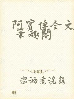 阿宾传全文阅读 笔趣阁
