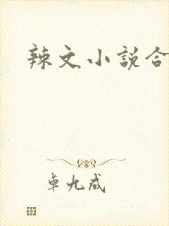 辣文小说合集封面