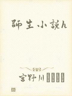 师生小说h封面