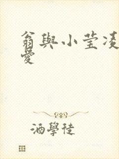 翁与小莹凌晨欢爱