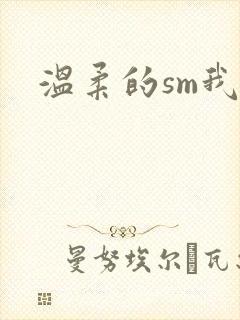 温柔的sm我封面
