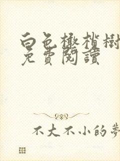 白色橄榄树全文免费阅读