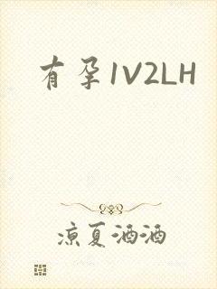有孕1V2LH