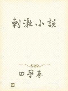 刺激小说封面