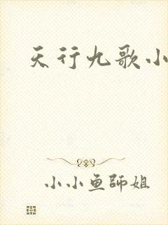 天行九歌小说