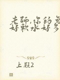 老师,你的兔子好软水好多