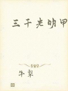 三千光明甲