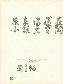 原来你还在这里小说免费阅读