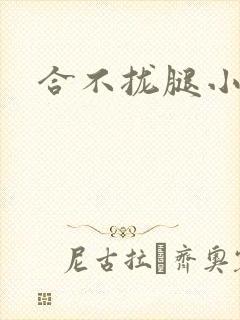 合不拢腿小说
