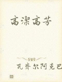 高洁高芳封面