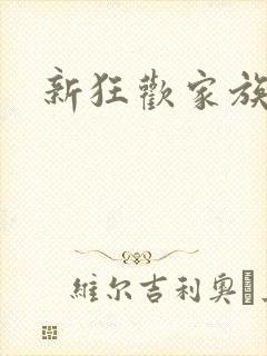 新狂欢家族小说