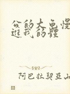 公的大龟慢慢挺进我的体