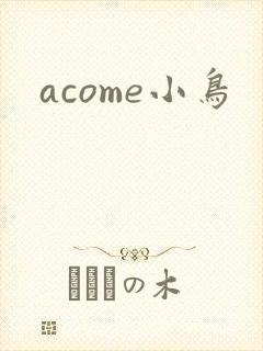 acome小鸟