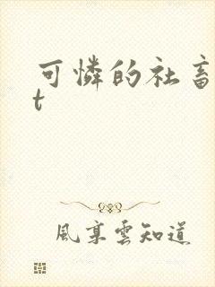 可怜的社畜txt封面